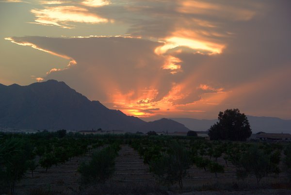 An amazing sunset