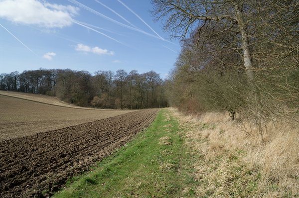 Countryside shot