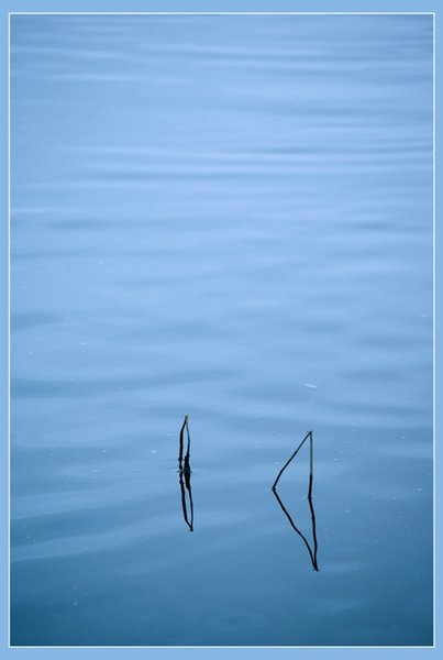 Reflection in Tyne river