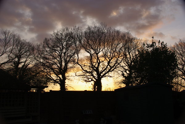 SUNSET MARCH 1ST 2009