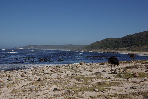 Stranger on the Shore II