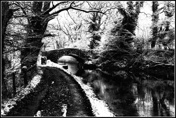 Winter Canal