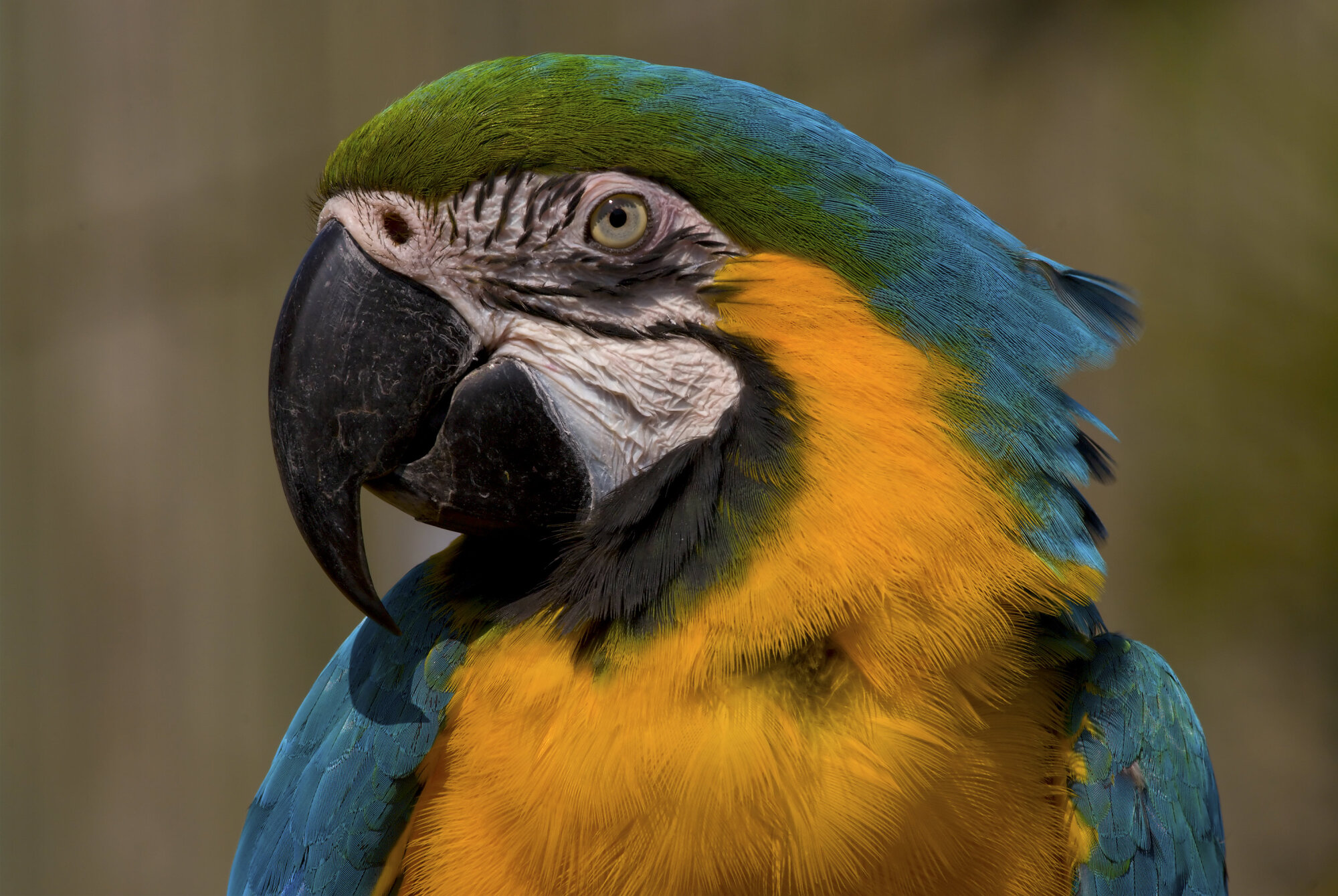 colourful