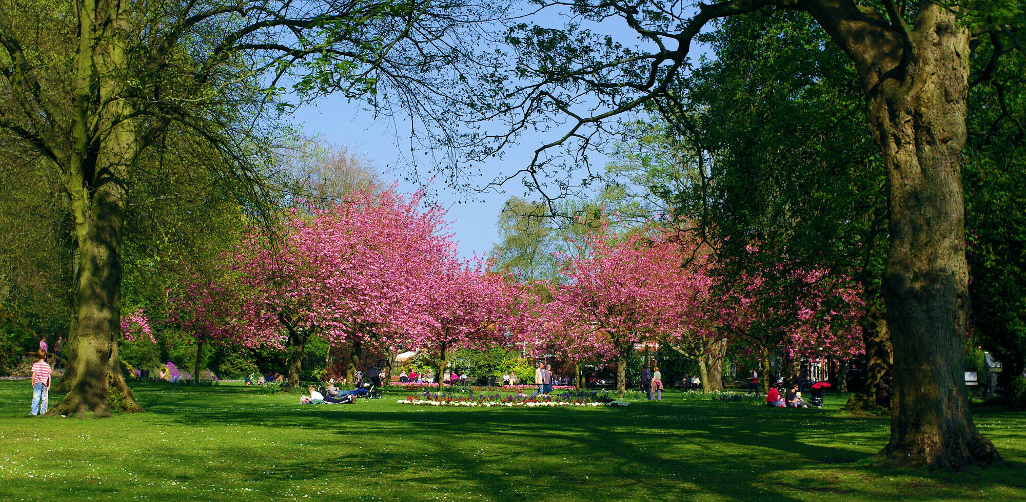 town gardens swindon