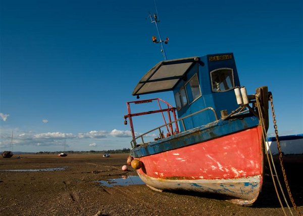 Boat on Estary