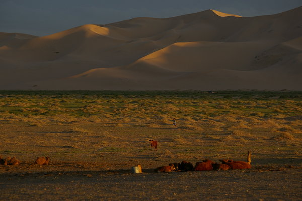 Evening in Sand Dunes, Mongolia