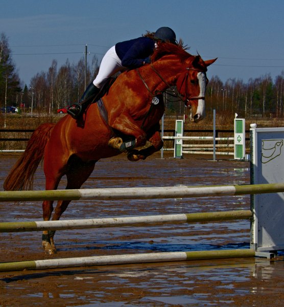 Jumper