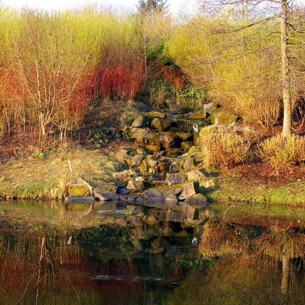 Old Valleyfield Pond - Penicuik, Midlothian