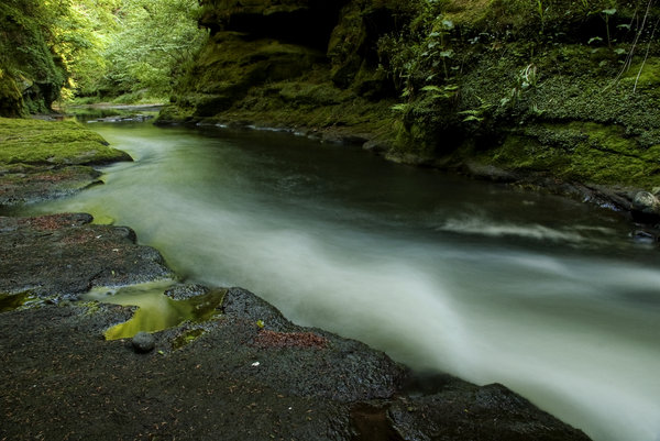 The Roslyn Glen, Edinburgh, Scotland
