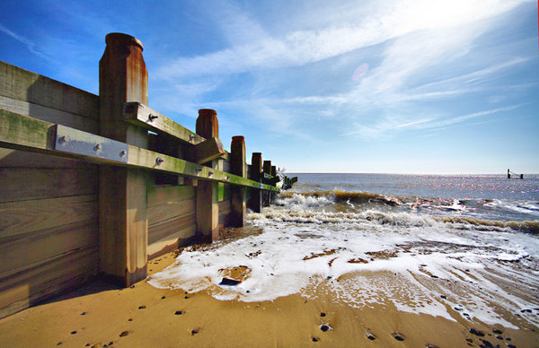 Wood & Sea - Colour