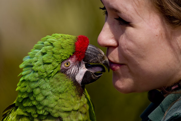 kiss