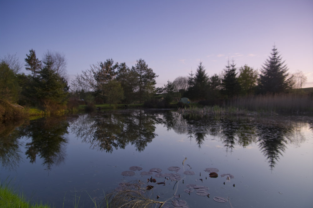 Reflections