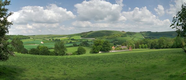 Coombe and Walbury Hill