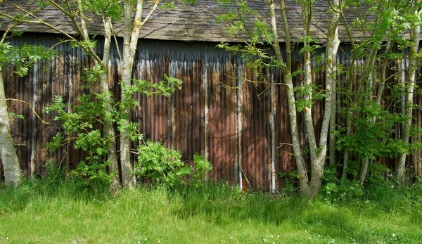 Galvanised steel and nature