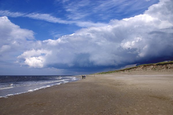 Last Sunday in Holland