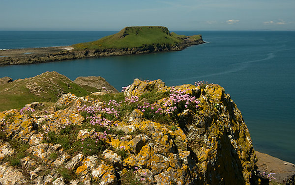 Wyrms Head Rhossilli