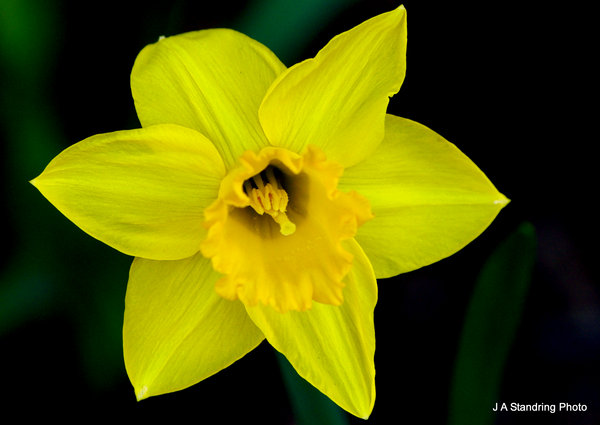 Spring has Sprung