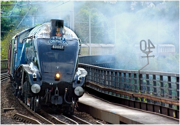 Steam Special Express