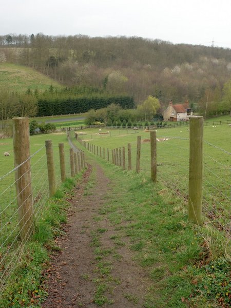 Well Used Path