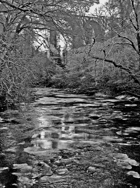 Winter River