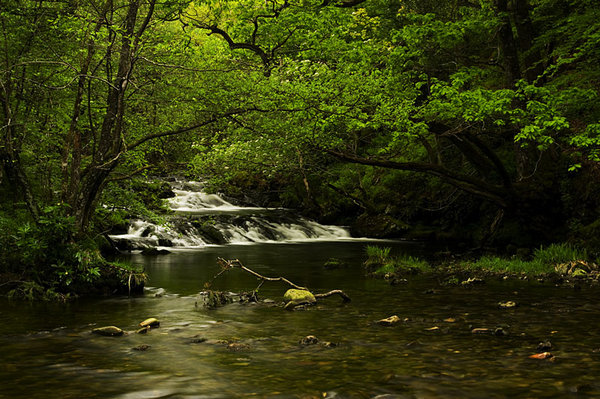 cascade