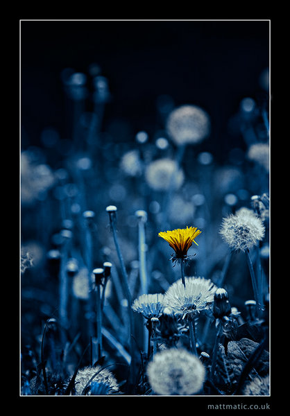 shining in blue