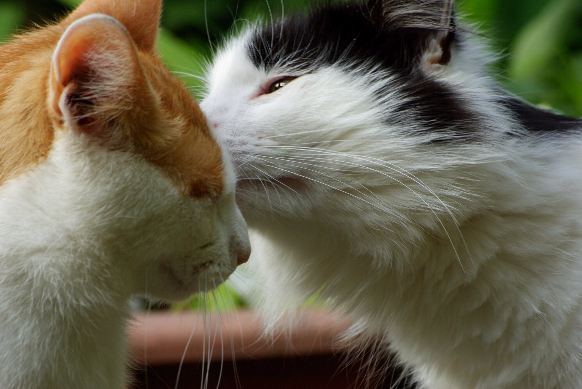 Mmm.......you smell nice