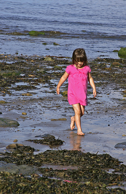 Beachcomber