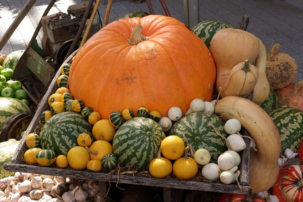 PUMPKINS