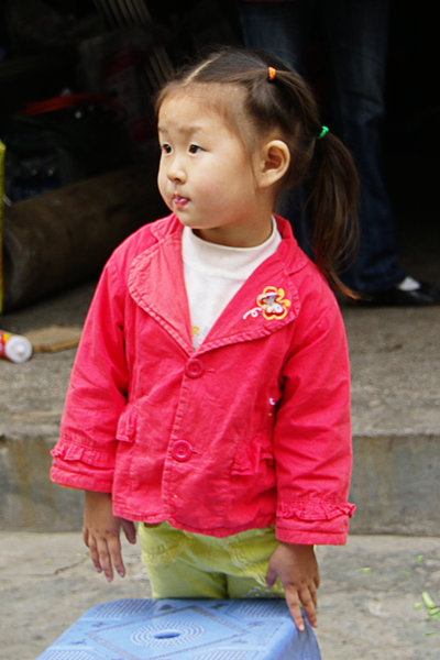 At Wanxian market, China
