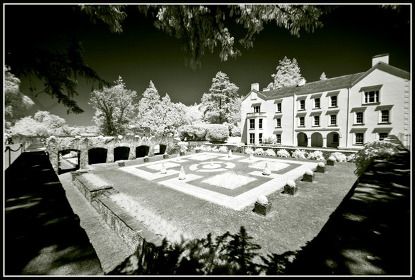Cloister Garden