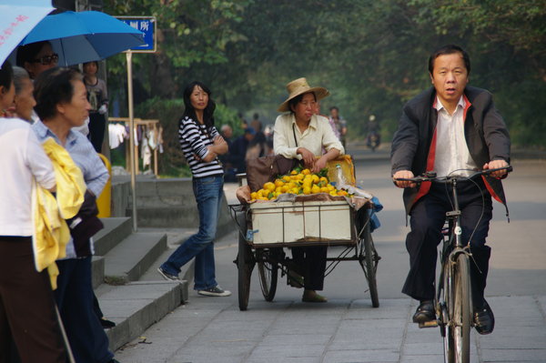 Lemon Seller