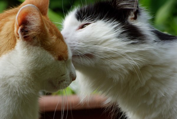 Mmm.......you smell nice
