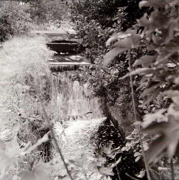 The Old Mill Stream