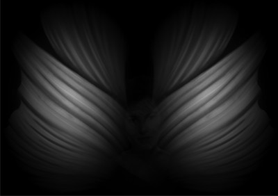 Wings Of Desire 1