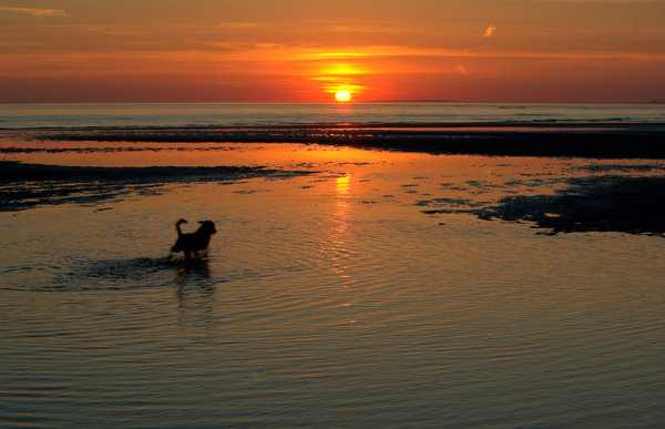 Ynyslas sunset
