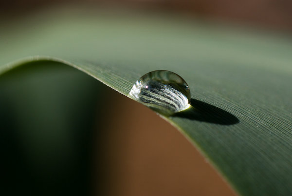 drop
