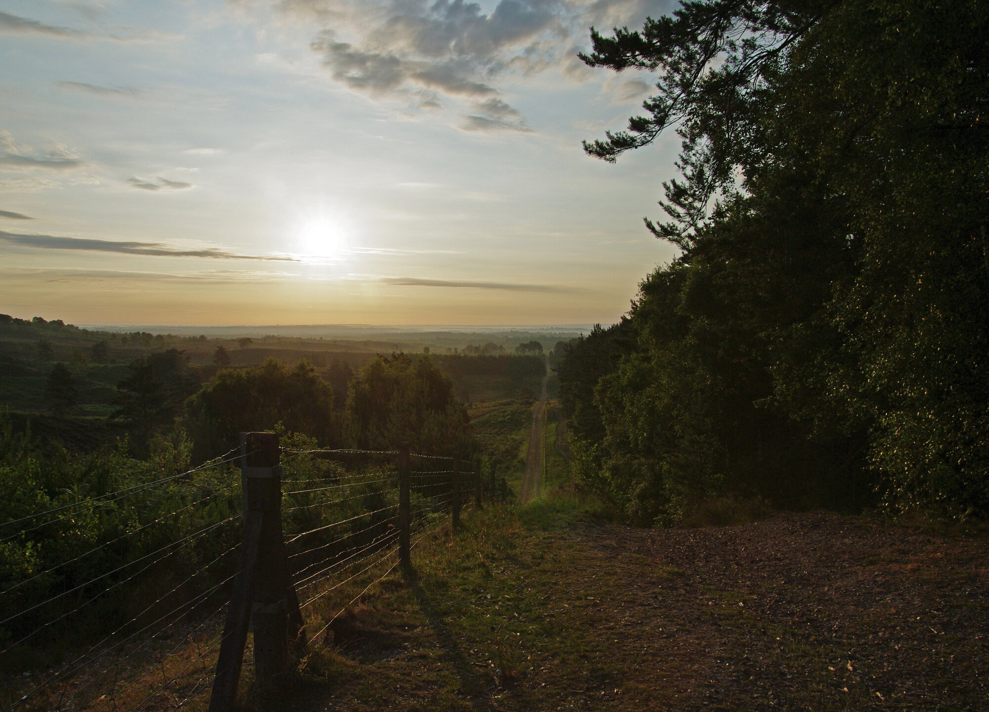 Surrey Hills at Dawn