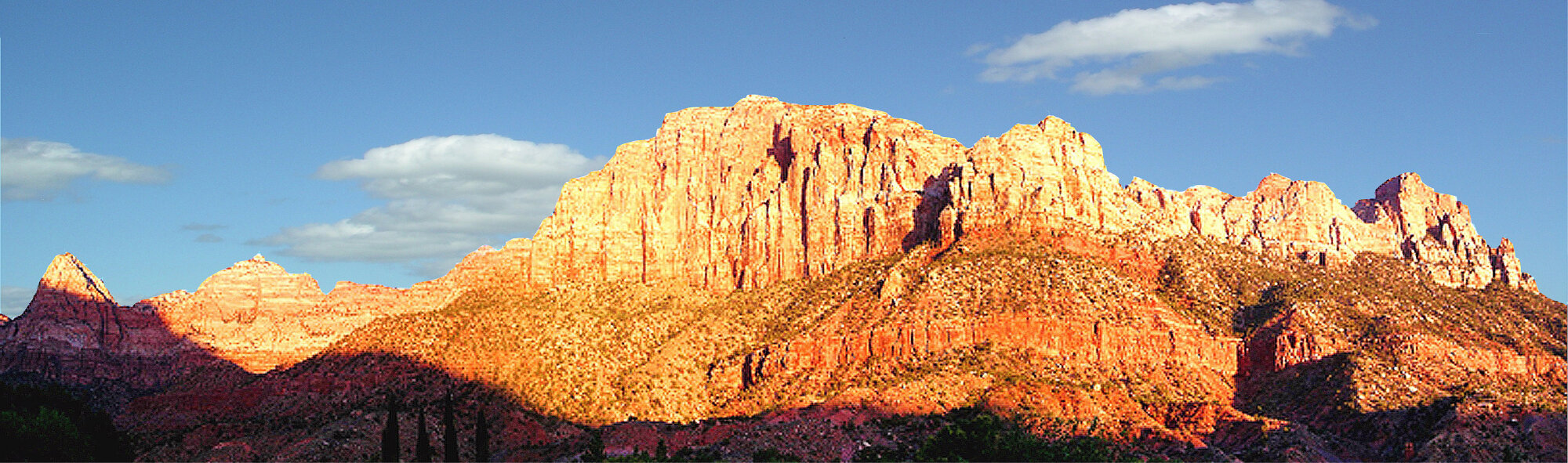 Springdale backdrop.