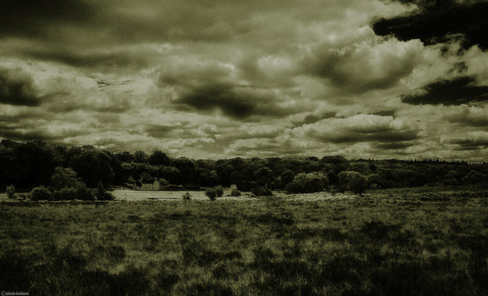 New Forest clouds