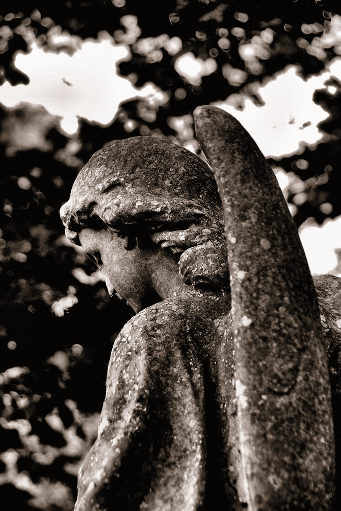 Angel