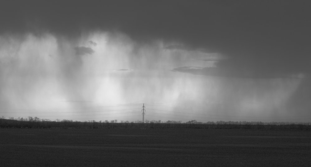 raining cats and dogs