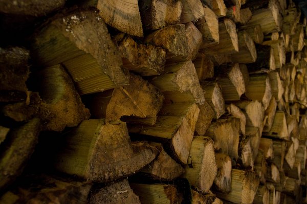 Wood pile