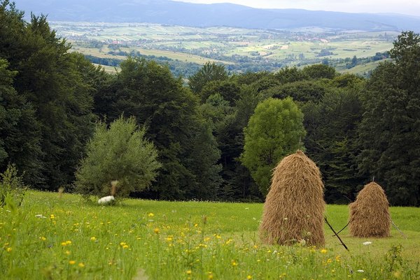 Carpathian scene