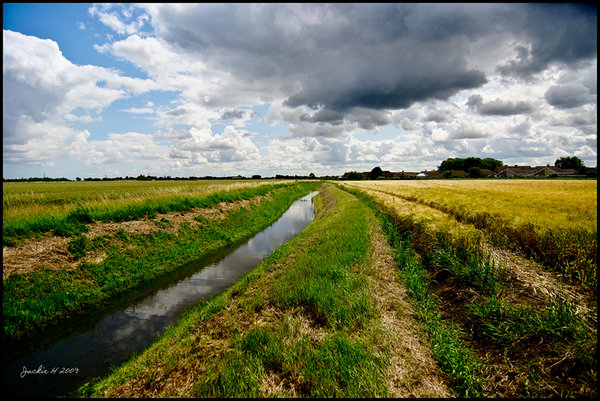 Coll Drain