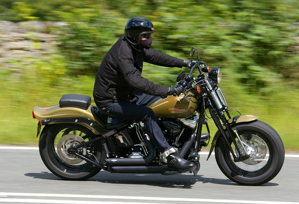 Harley Rider