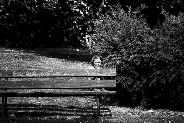 Hide-n-Seek