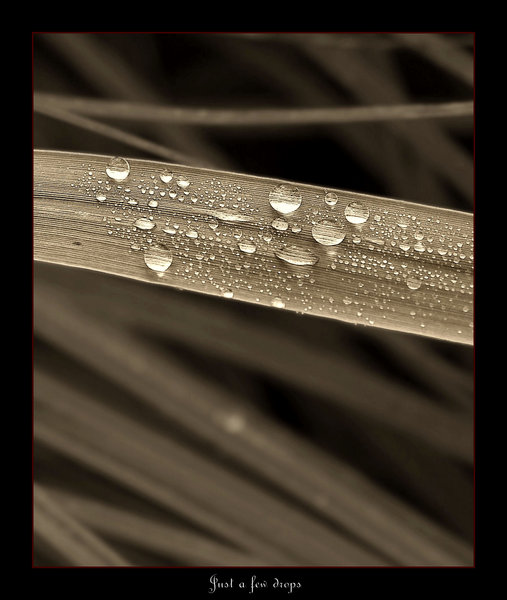 Just a few drops