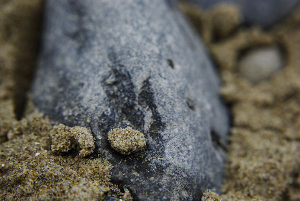 sand and stone