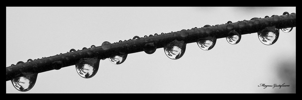 Droplets